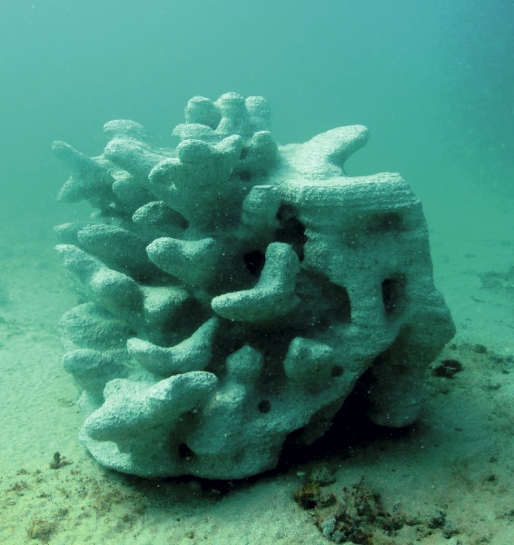 Рис. 28. Напечатанные рифы как пример восстановления прибрежной зоны моря (Reef Arabia, Bahrain)