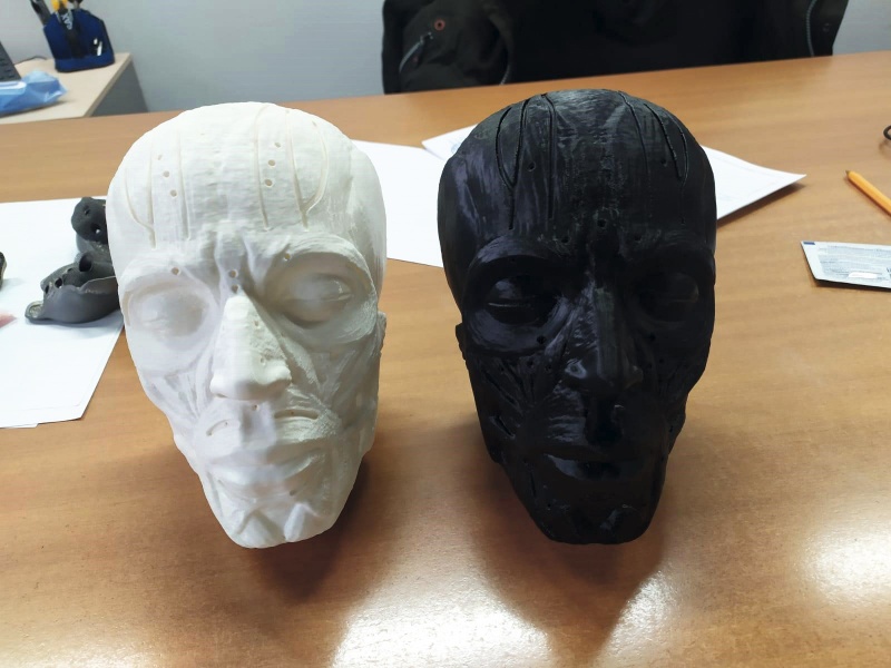 Рис. 1. 3D-модель лица, напечатанная на принтере 