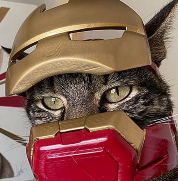 Спортивный шлем для кошки, напечатанный на 3D-принтере Zortrax