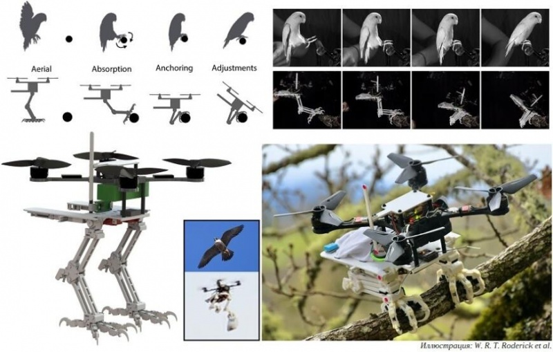 Американские ученые оснастили беспилотник 3D-печатными лапками