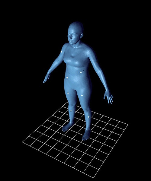 Параметрическая модель человеческого тела Текселя, трехмерный цифровой аватар. Фото Texel.