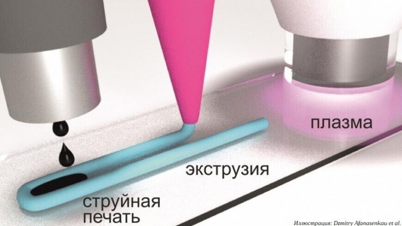 Петербургские ученые применяют гибридную 3D-печать в производстве нейропротезов
