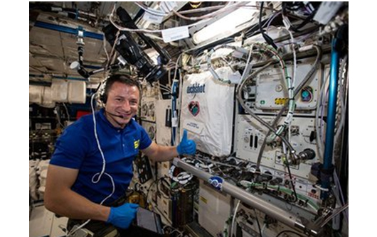 Астронавт НАСА Дрю Морган, работающий с BioFabrication Facility на МКС