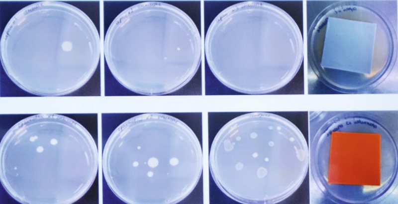 Воздействие антибактериального материала на кишечную палочку E-coli (сверху), обычный напечатанный пластик (внизу). Срезы проведены с разницей в 1,5 часа. 