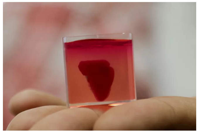 Ученые Тель-Авивского университета напечатали первое 3D-сердце