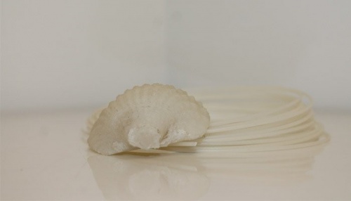 Материал для 3D-печати из моря
