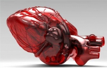 На 3D принтере распечатали сердце