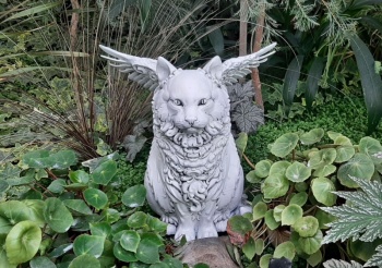 В Ботаническом саду ТГУ завелись эльфы, крылатые кошки и драконлинг