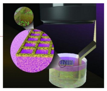 метод 3D-печати живых микробов