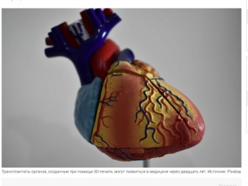 Трансплантаты органов, созданные при помощи 3D-печати, могут появиться в медицине через двадцать лет. Источник: Pixabay