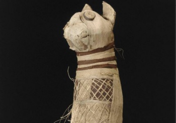 Мумия кошки из Музея изящных искусств в Ренне 