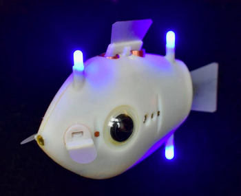 The scientists’ fish-inspired bots (pictured) feature cameras and blue LEDs that help them navigate underwater. Photo via the Se