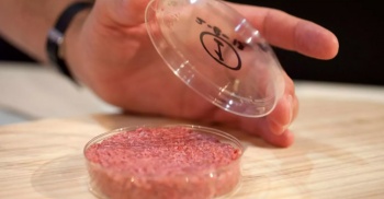 Университет Казани начинает готовить специалистов по созданию искусственного мяса