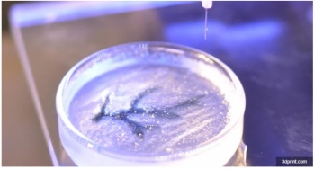 Ученые впервые смогли создать объемные гели методом 3D-печати