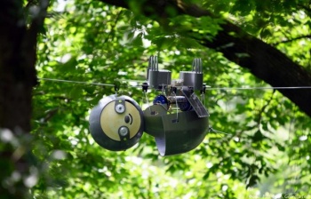 В Атланте проходит испытания 3D-печатный робот-ленивец