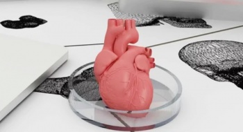 Учёные напечатали 3D-клапан сердца