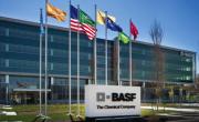 компания «BASF»