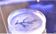 Ученые впервые смогли создать объемные гели методом 3D-печати