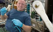 Россия и США "наладят" на МКС на 3D-принтерах производство биоматериалов