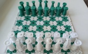 В Хабаровске студентка создала шахматы для слепых на 3D-принтере 